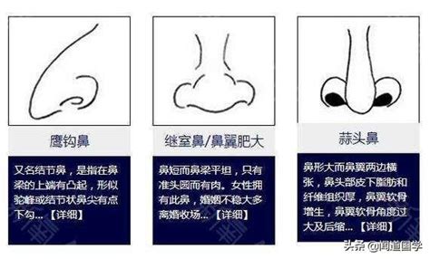 大鼻子面相|面相學之鼻型解析、全面解讀鼻子與命運